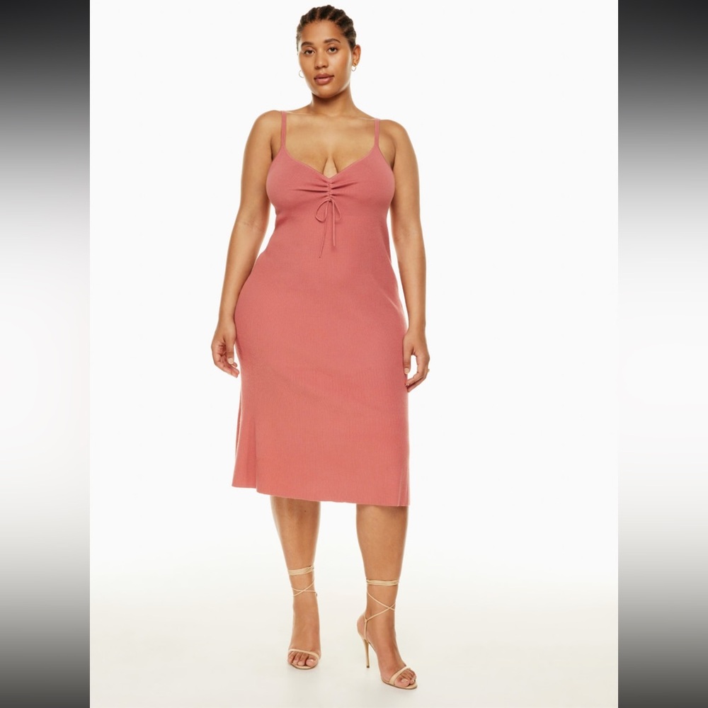 NWT aritzia mystery dress